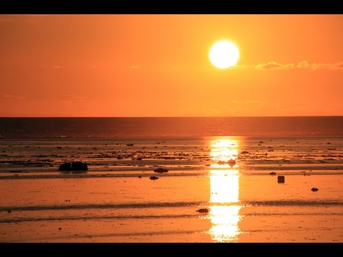 Video: The Big Lake In The Balkans Disappeared Overnight Along With The Trees - Alternative View