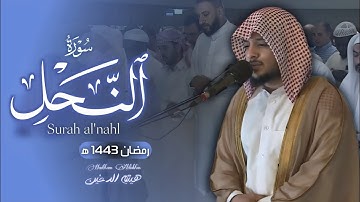 هيثم الدخين || والله جعل لكم من بيوتكم سكنا ||تلاوة خاشعة من سورة النحل