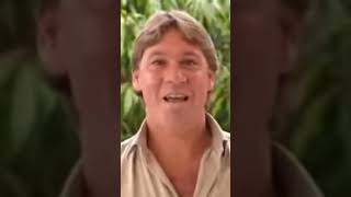 Steve Irwin being bitten by a 12-salt crocodile #steveirwin #crocodilehunter #crocodile #australia