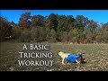 A Basic TRICKING Workout | FOLLOW-ALONG