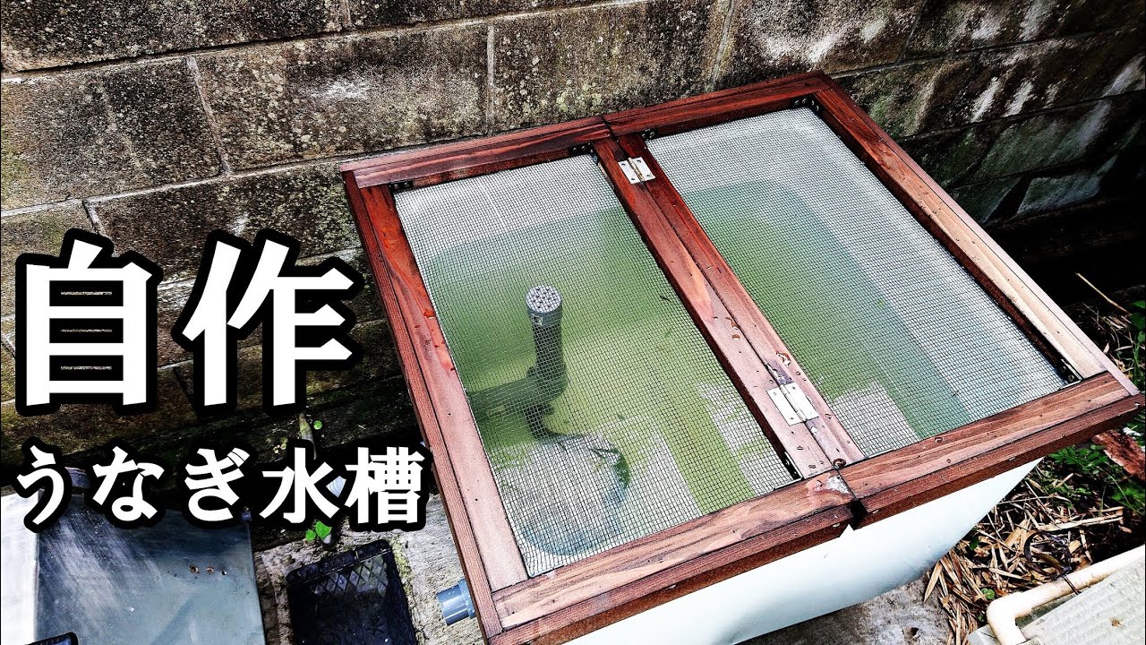 古い浴槽を使ってウナギ水槽を作製