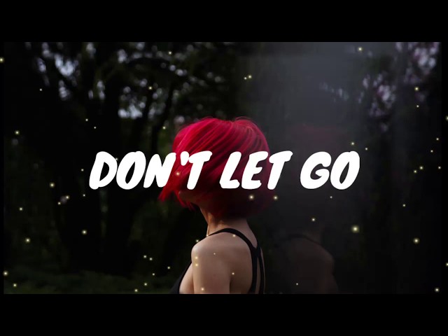 Mandrazo & Duava - Don't Let Go (Lyrics) class=