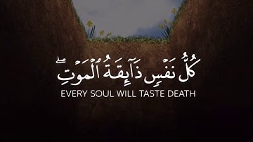 كل نفسٍ ذائقة الموت ❤️ تلاوة خاشعة للقارئ شريف مصطفي 💛 حالات واتس اب - Quran status