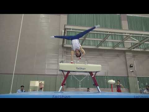 LEE Chih Kai 2023 pommel horse routine (TPE team selection - Jan 2023)