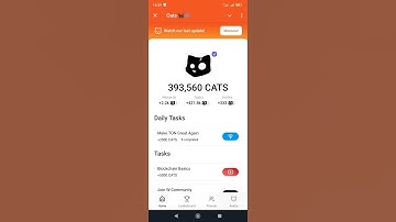 Cats video code "Blockchain Basics"