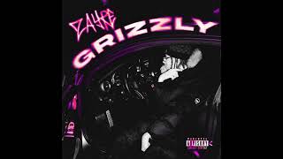 Video thumbnail of "Zayre - Grizzly"