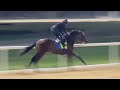 COUNTRY GRAMMER - 4f breeze @ Meydan in 49 flat (12Mar22)