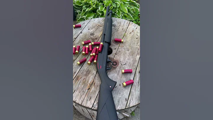 THE Winchester SXP #shorts