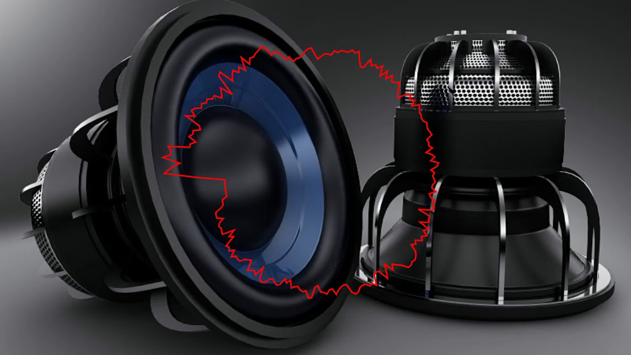 Gorilla Zoe DJSNT pole  (BASS)