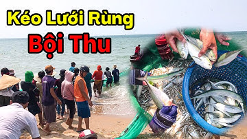 Hàng Chục Người Ra Kéo Lưới. Nghề Kéo Lưới Rùng - Lưới Quát Tại Bình Thuận.