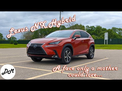 2020 Lexus NX