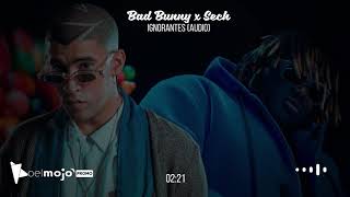 Bad Bunny x Sech - Ignorantes (Audio)