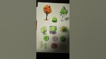 Semester 1 Showcase: Architect Journeys 🏗️ #ArchitectureViral