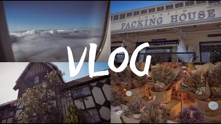 Traveling To Anaheim California | VLOG
