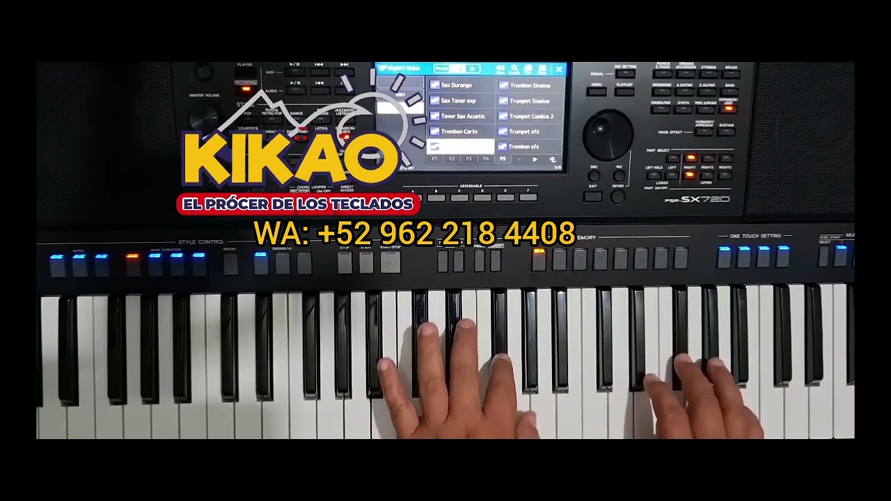 330 Nuevos samples para yamaha SX720 samples para Yamaha SX920