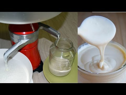 Как делают 100 натуральные сливки (сепараторную сметану)