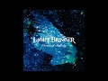 Light Bringer - Hydrangea