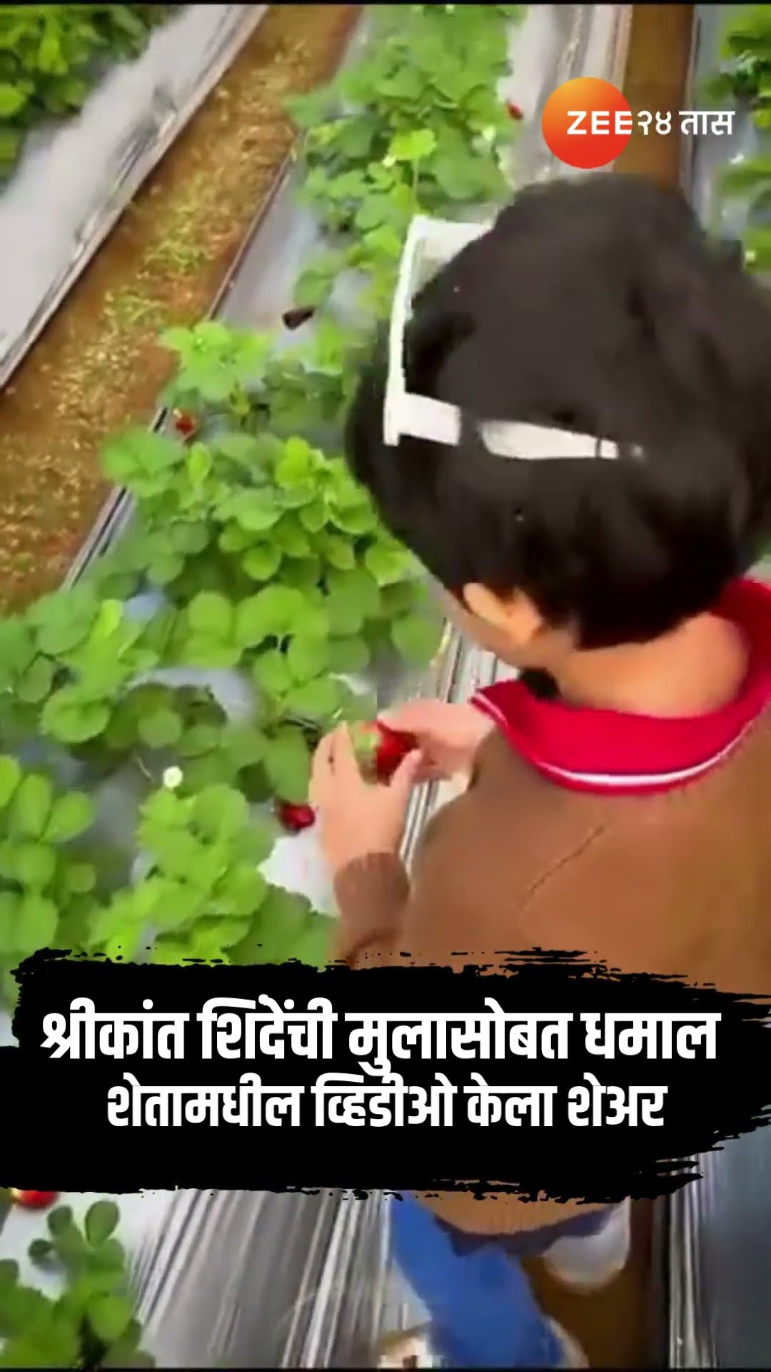 Shrikant Shinde Shivsena | श्रीकांत शिंदेंची मुलासोबत धमाल ; शेतामधील व्हिडीओ केला शेअर