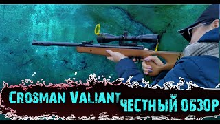 Пневматическая винтовка Crosman Valiant (на что способна)