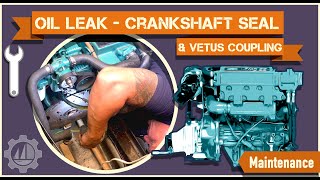 Crankshaft Seal and Vetus Coupling Bushings Replacement on Volvo Penta TMD22 Marine Diesel Engine