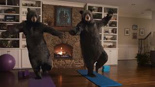 Bears Pose OP