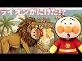 動物園からライオンがにげた！？ アンパンマン アニメ 他2本 おもちゃ anpanman