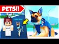 They ADDED PETS into Roblox Jailbreak..