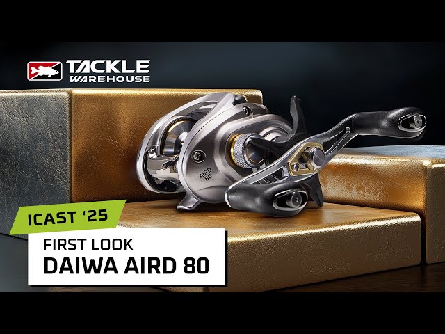 an40 bulk spools fishing line Polyflex Panfish Panaro Its simple Color:Orange Sparkle Daiwa Emblem-S 1500iA Spinning