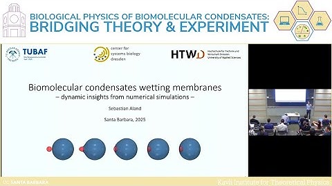 Biomolecular condensates wetting membranes | Sebastian Aland (HTW Dresden)
