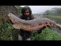 THE BIGGEST SNAKE HEAD I EVER CAUGHT, मी पकडलेली आत्ता पर्यंतची सर्वात मोठी मरळ (मरल )