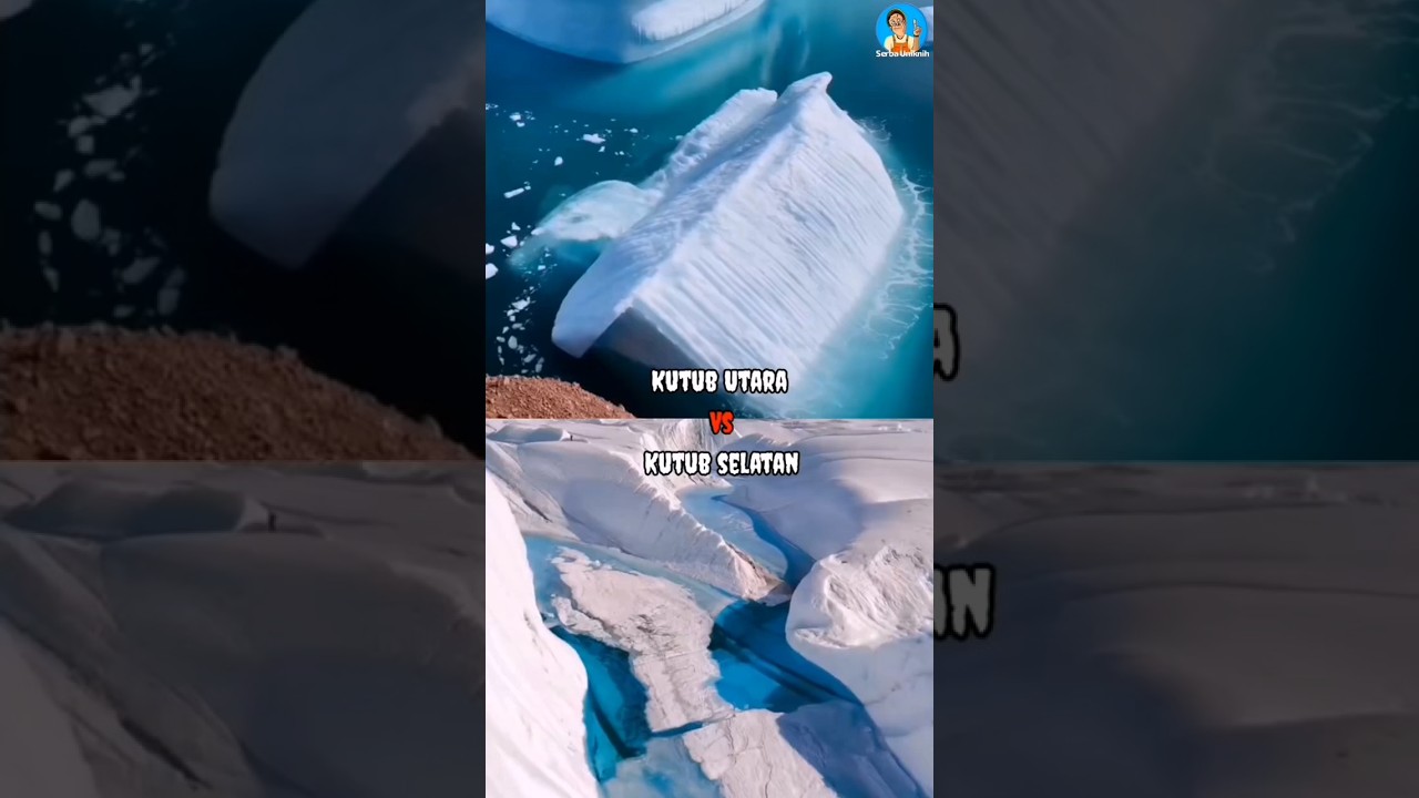 Северный полюс против Южного полюса 