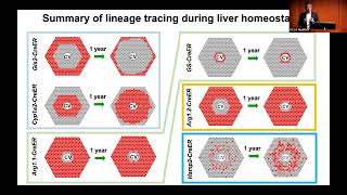 CTSI Distinguished Speaker Series | Hao Zhu