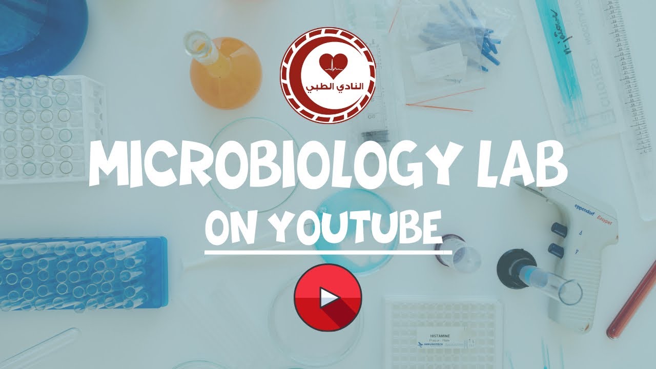 Microbiology Lab 1 - Biosafety - YouTube