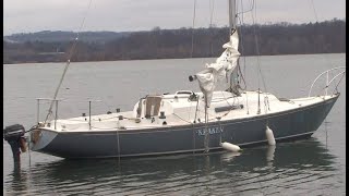 Transport Canada investigating abandoned sailboat at Bayfront Park