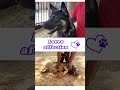 Selena video