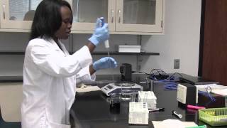 Dilutions #3 - A Demonstration