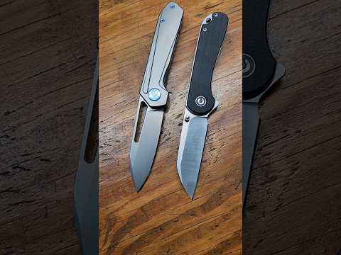 Front Flipper Or Back Flipper??   