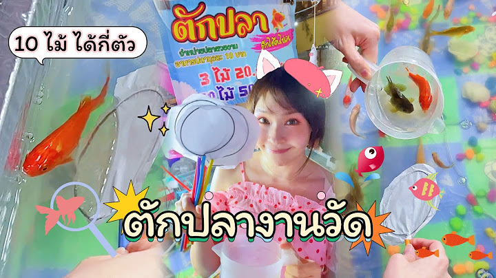 ตักปลางานวัด ปลาตัวใหญ่ 10 ไม้ จะตักได้กี่ตัวกันนะ