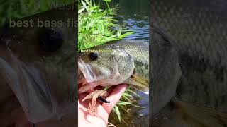 Top 25 Best Bass Lakes in the West - 20 Lake Washington #bassfishing #fishing #bestbasslakes