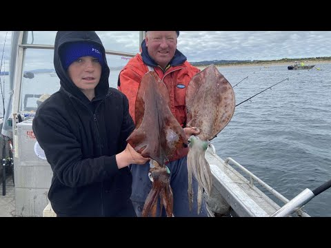 Commercial Shark Fishing Tasmania 