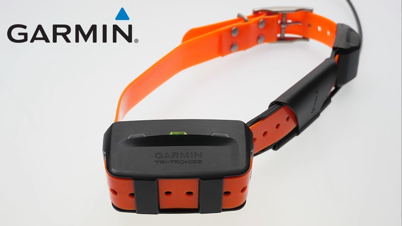 Support: Troubleshooting GPS Reception Issues on a Dog Collar