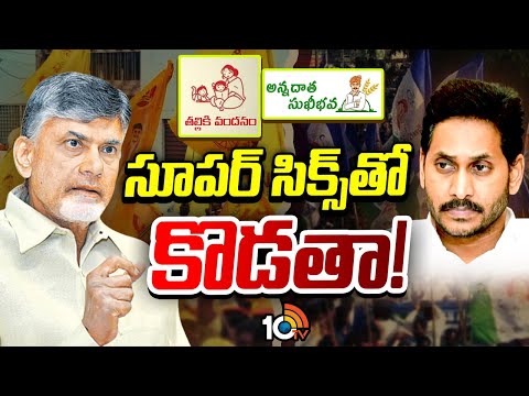 వైసీసీ అస్త్రాలకు బాబు విరుగుడు మందు.! | CM Chandrababu Strategy On YSRCP | Super6 Scheme|10TV