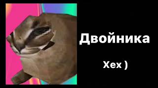 Ты нашёл это: