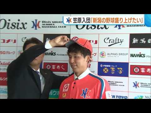 元中日・DeNAの笠原祥太郎 “相思相愛”のオイシックス入団!「新潟の野球盛り上げたい」