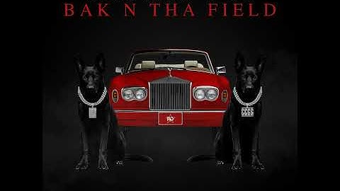 BAK N THA FIELD
