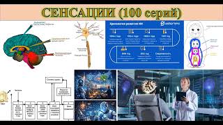 5 Технология читать мысли