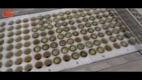 automatic green plum pitting machine|apricot pitting machine|fruit pitting machine