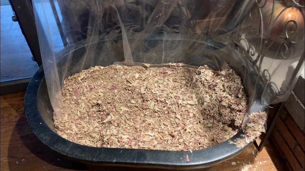 The Best Homemade DIY Incontinent Dog Bed. How to care for a dog that