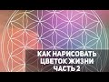 Как нарисовать Цветок жизни. Часть2