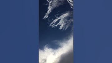 آيات قصيرة من القرآن الكريم ربما يود الذين كفروا لو كانوا مسلمين